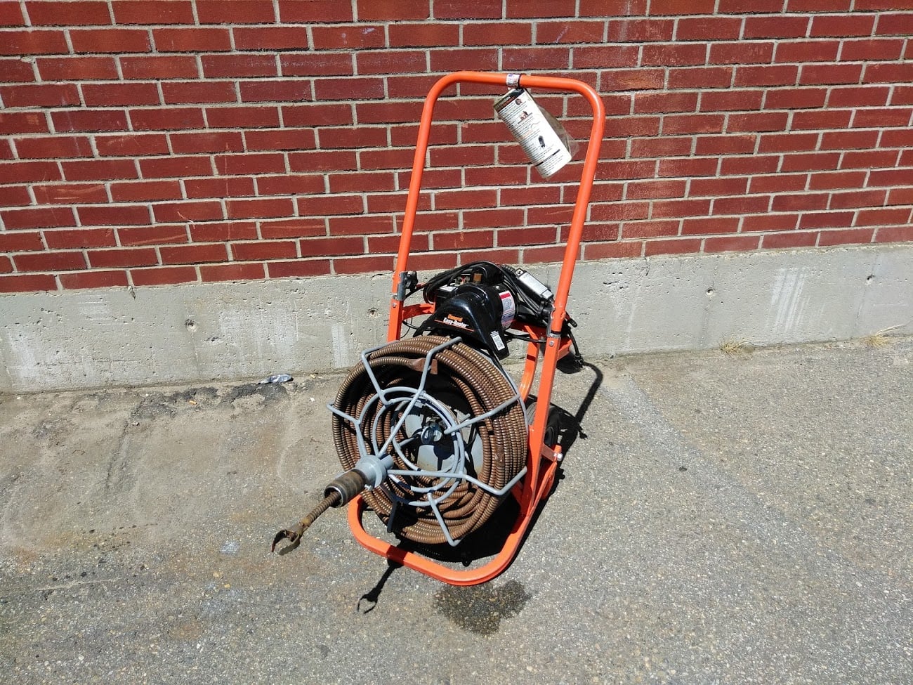 electric snake